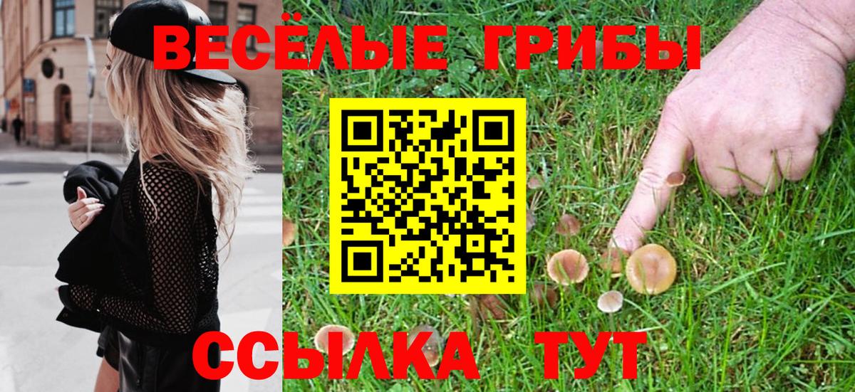 Галлюциногенные грибы Cubensis Кызыл