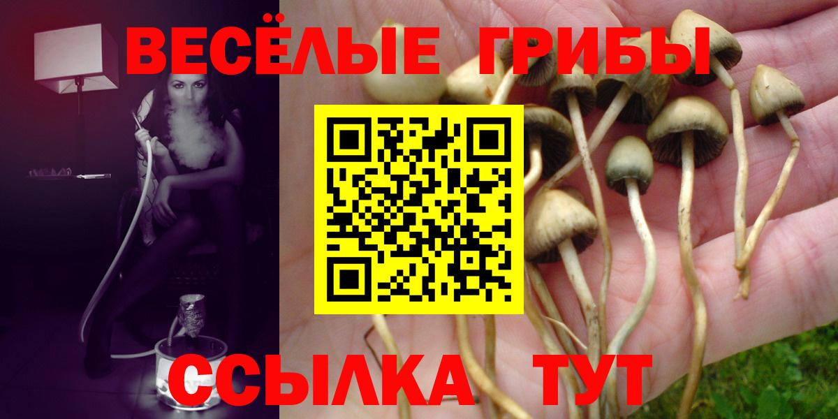 Кызыл  Галлюциногенные грибы Magic Shrooms  Вход с VPN 